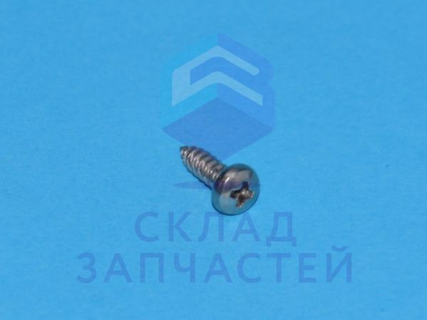 Самонарезающий винт из нержавеющей стали для Gorenje RB392PW4 (RS-13DR4SCA/CPA2-007)